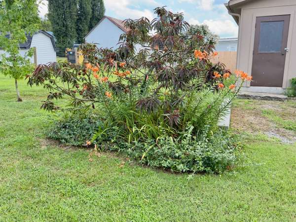 925 Old McMinnville Rd, Woodbury, TN 37190
