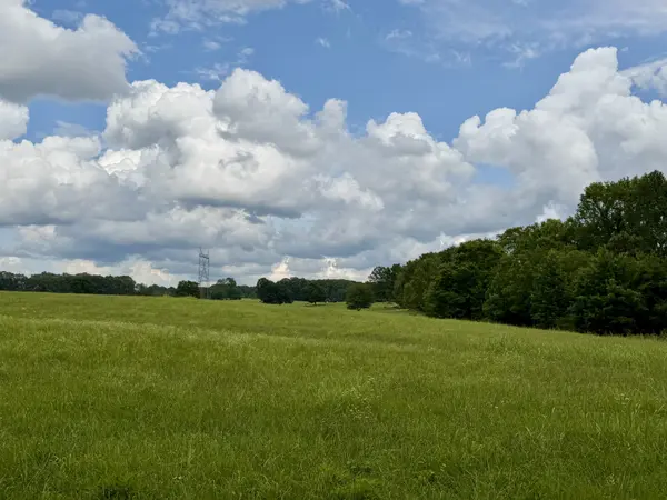 0 Cooley Ford Rd, Tennessee Ridge, TN 37178