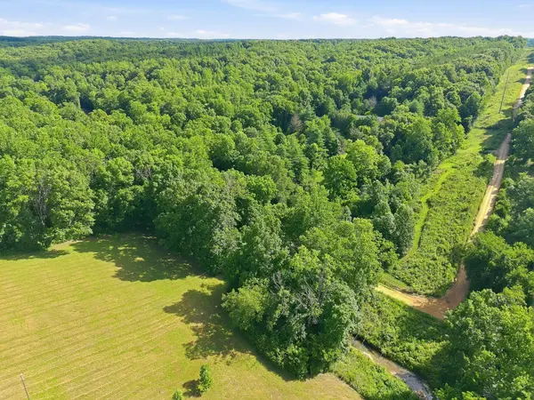 0 Alex Goines Rd, Lyles, TN 37098