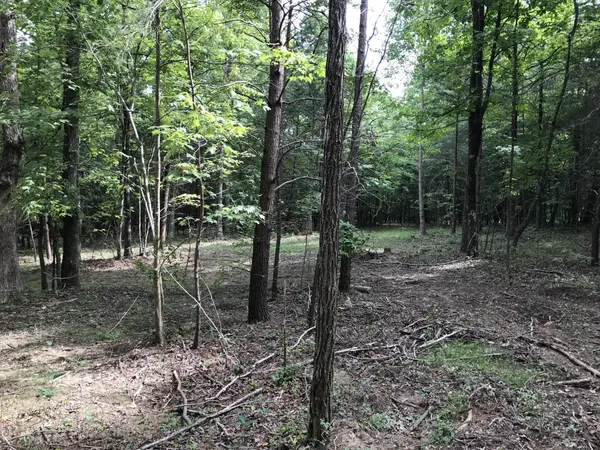 0 Quail Trl, Dunlap, TN 37327