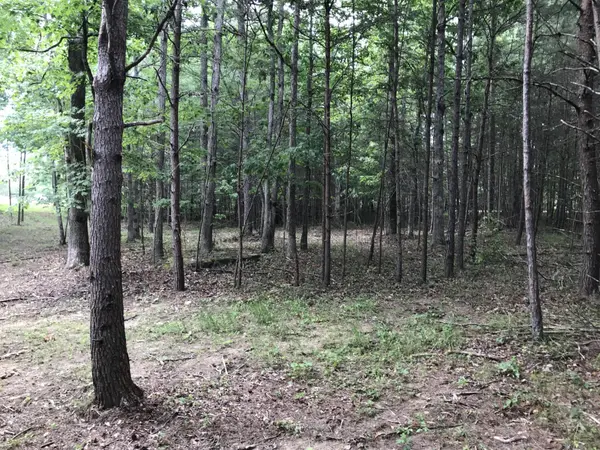 0 Quail Trl, Dunlap, TN 37327
