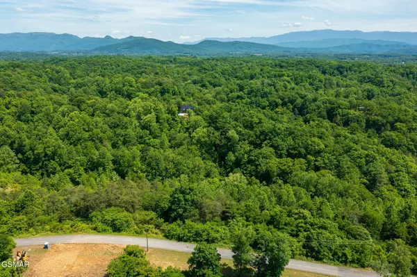 54 Mary Alice Way, Sevierville, TN 37876