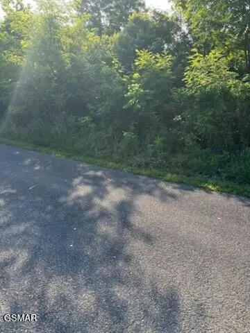 50 Mary Alice Way, Sevierville, TN 37876