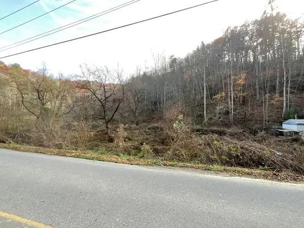 0 Boogertown Road, Sevierville, TN 37876