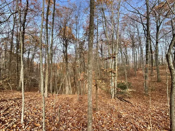 0 Boogertown Road, Sevierville, TN 37876