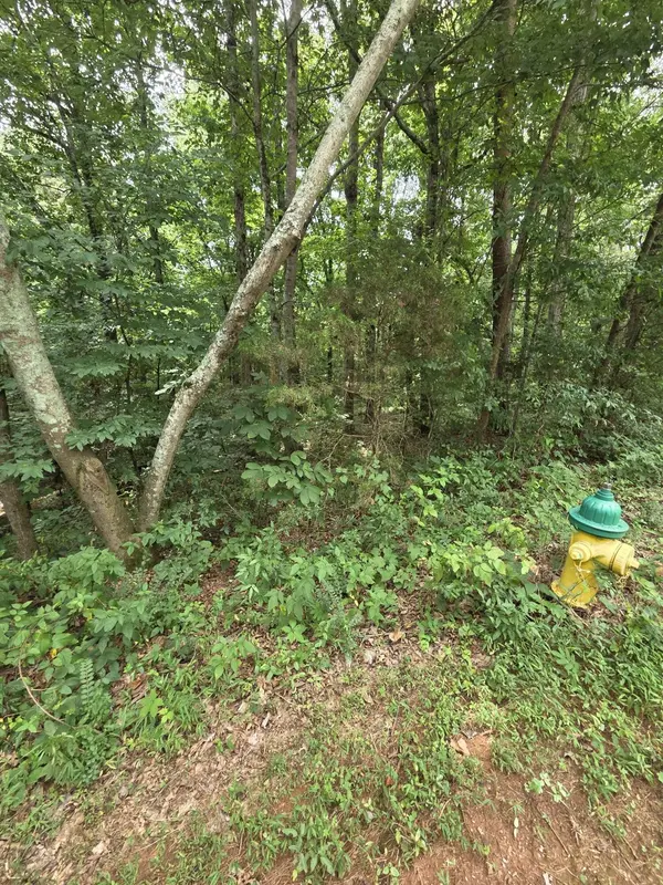 0 Callen Cove, Athens, TN 37303