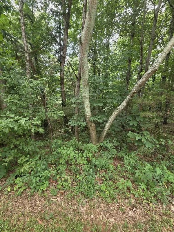 0 Callen Cove, Athens, TN 37303