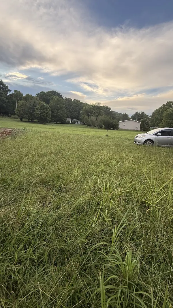 93 pawnee dr, Bradyville, TN 37026