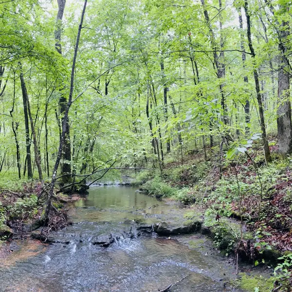 236 Center Ridge Drive, Hohenwald, TN 38462