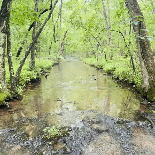 236 Center Ridge Drive, Hohenwald, TN 38462
