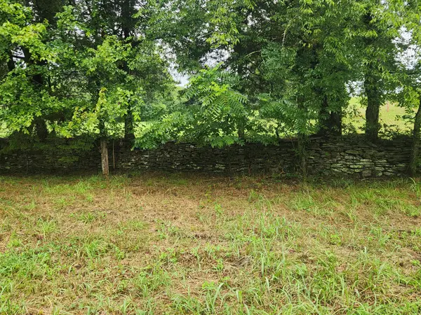 0 Tolbert Hollow Rd, Bradyville, TN 37026