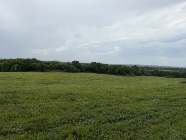 0 Massey Road, Mount Pleasant, TN 38474