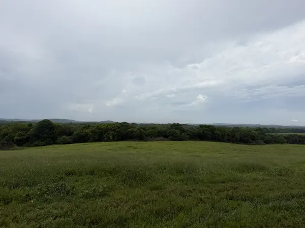 0 Massey Road, Mount Pleasant, TN 38474