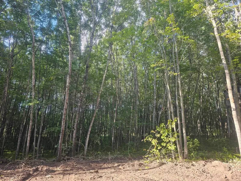 Lot 2 Ken Can Lane, Webster, WI 54893