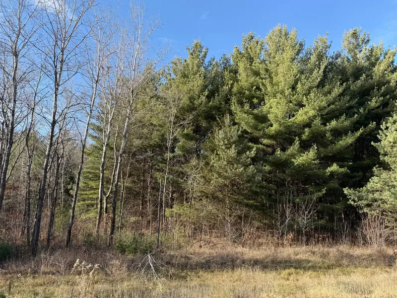 L10, Blk1 177th ST NW, Big Lake, MN 55309