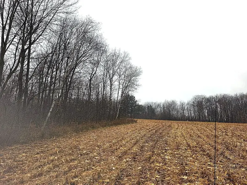 1141 12th Ave., Barron, WI 54812
