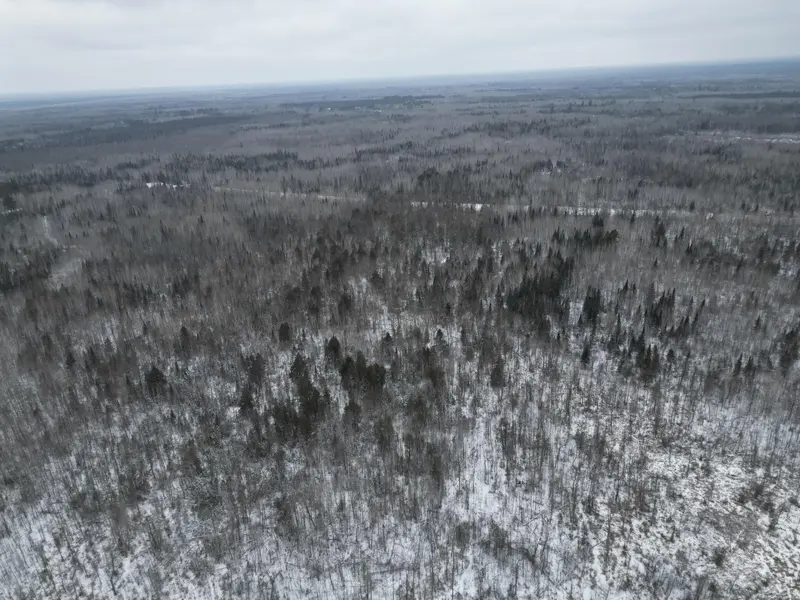 TBD US-71, Big Falls, MN 56627