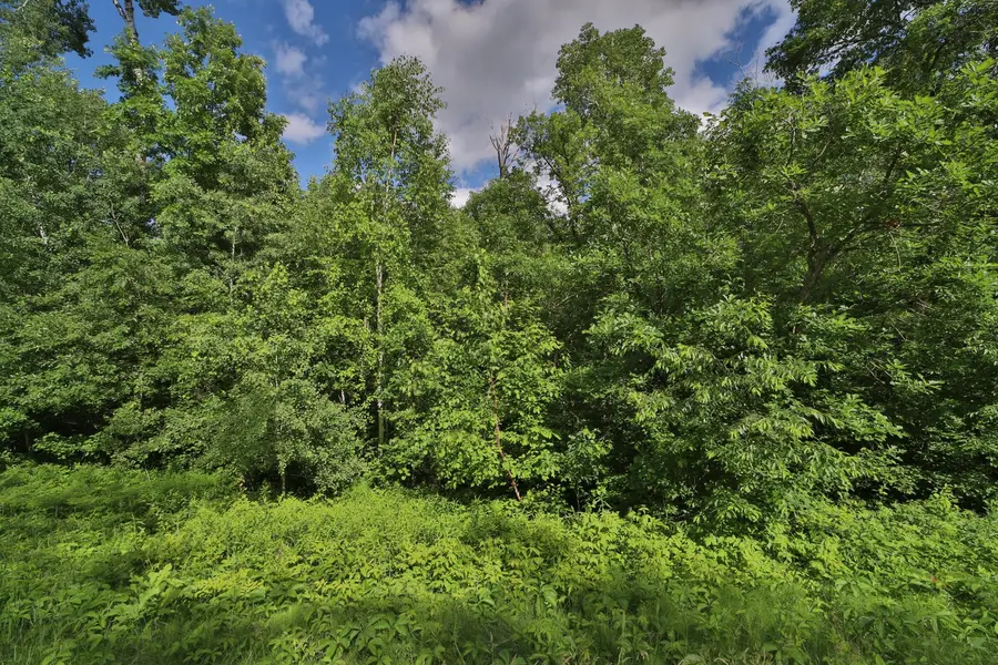 TBD Percheron DR, Breezy Point, MN 56472