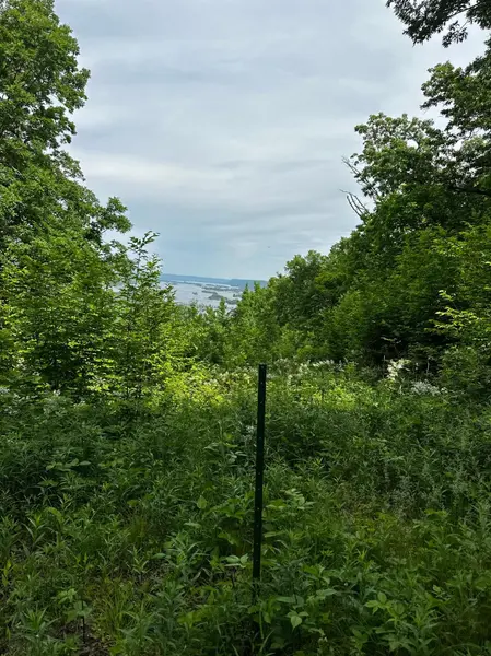 Lot 1 Alma Hills, Alma, WI 54610