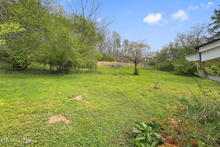 1447 Webster Rd, Harriman, TN 37748