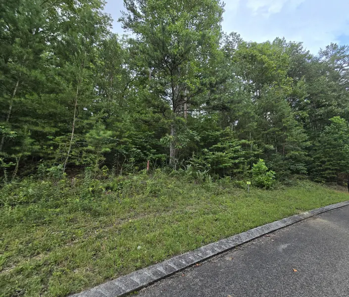157 Lower Brow Road, Dunlap, TN 37327