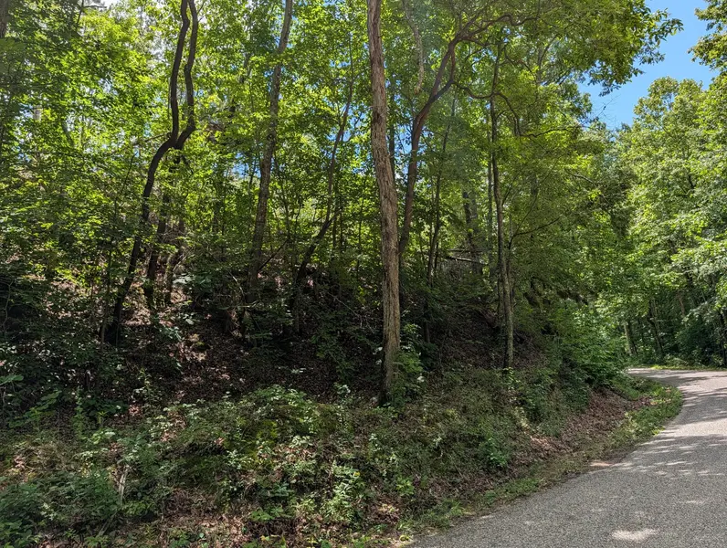 0 Old Penny Rd, Linden, TN 37096