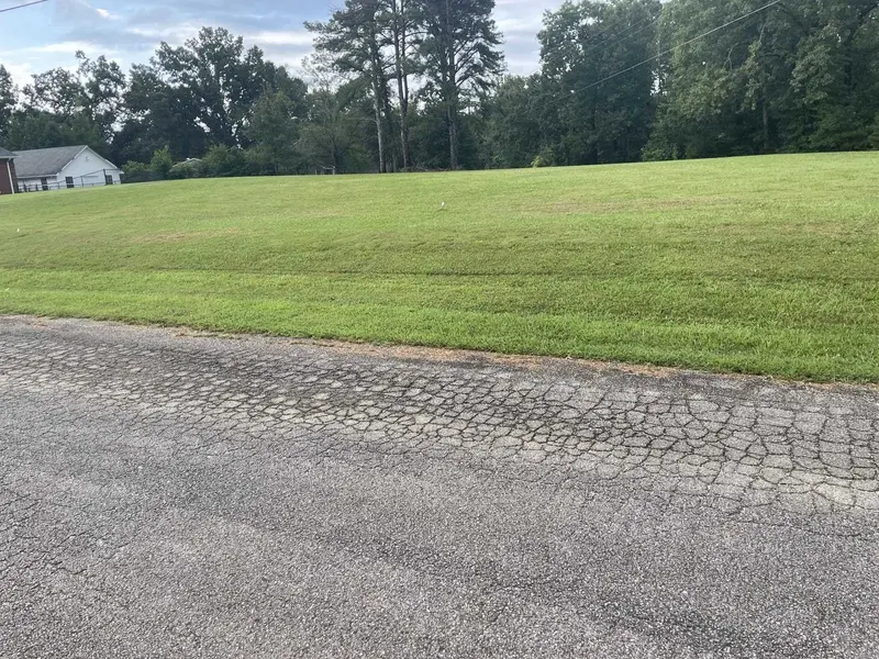 0 CANEY BRANCH RD, Adamsville, TN 38310