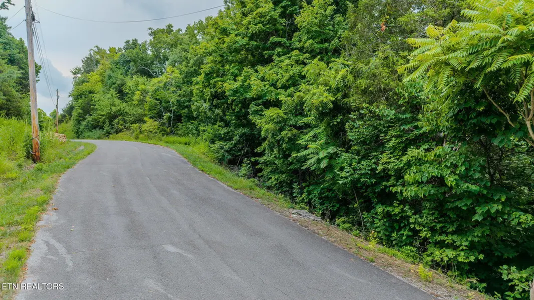 35 Fishtail Cove, Dandridge, TN 37725