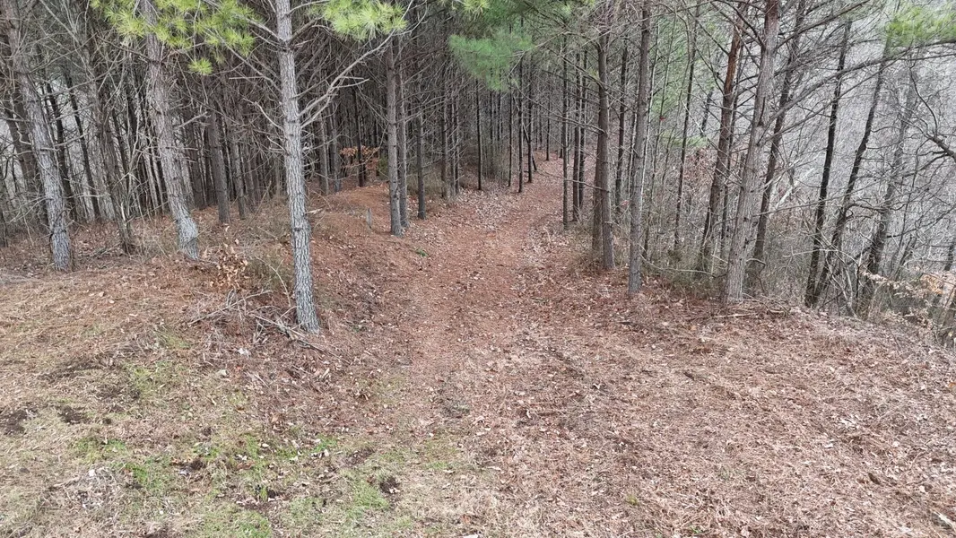 2932 Old Hohenwald Rd, Linden, TN 37096