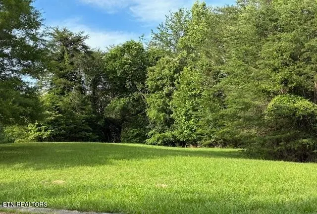 17 Waterstone Drive, Dandridge, TN 37725
