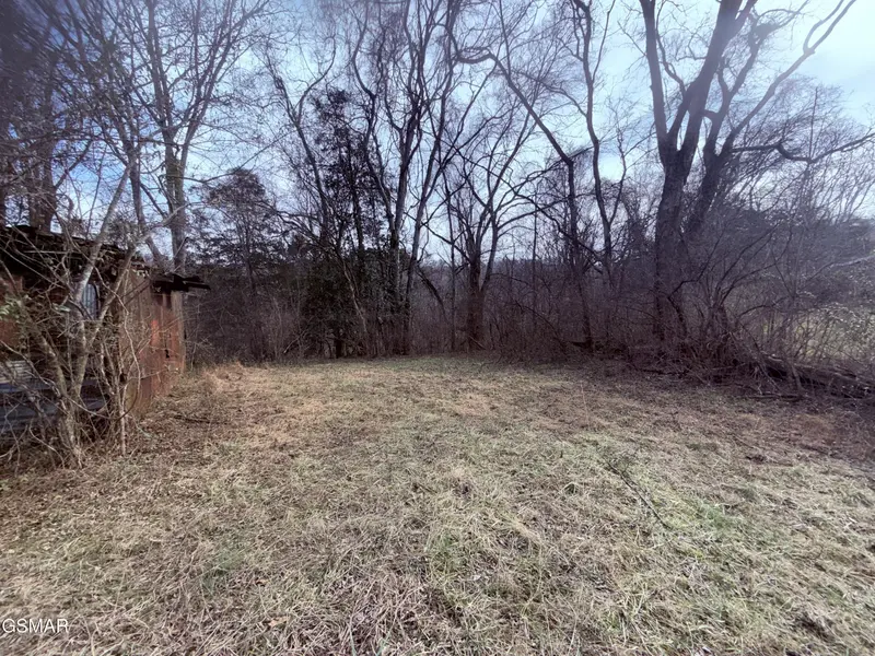 0 Chickory Road, Newport, TN 37821