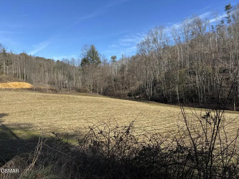 2 Bull Mountain Road, Del Rio, TN 37727