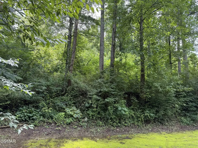315 Hilltop Road, Gatlinburg, TN 37738