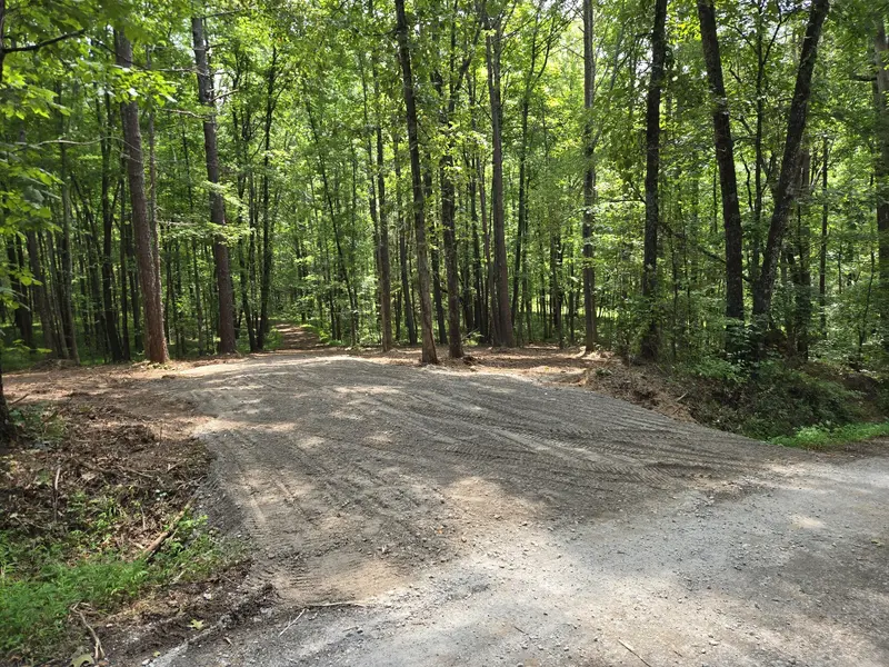0 Webb Road, Summertown, TN 38483