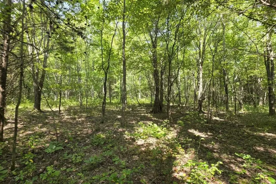 0 N Old Military Rd, Summertown, TN 38483
