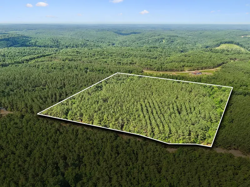0 Falls Branch Road, Duck River, TN 38454