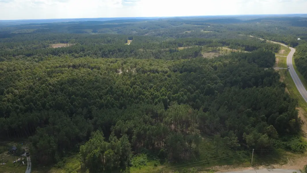 110 Hilltop Dr, Hohenwald, TN 38462