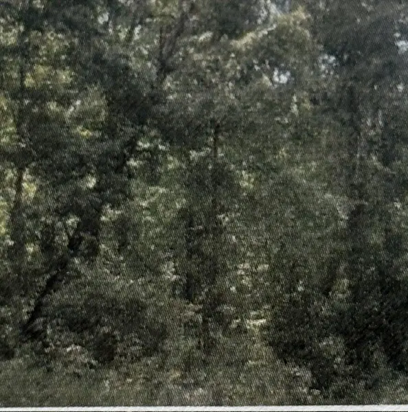 0 Shilow Rd, Beechgrove, TN 37018
