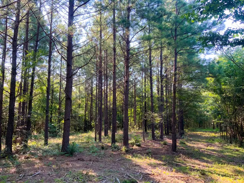 0 Hwy 232, Dover, TN 37058