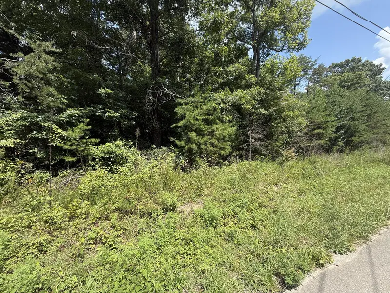 425 Woodland Avenue, Altamont, TN 37301