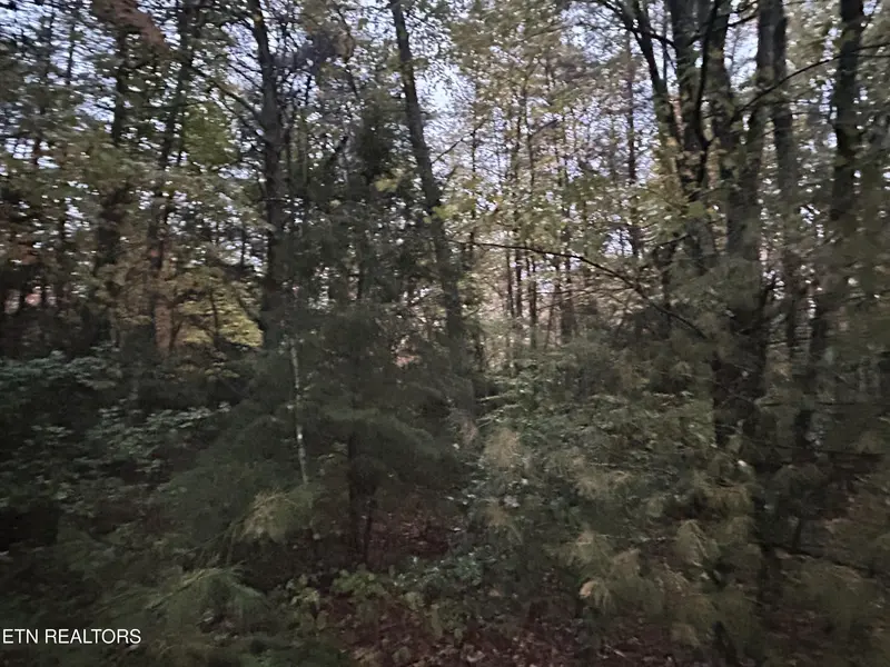 0 Wilder Rd, Clarkrange, TN 38553