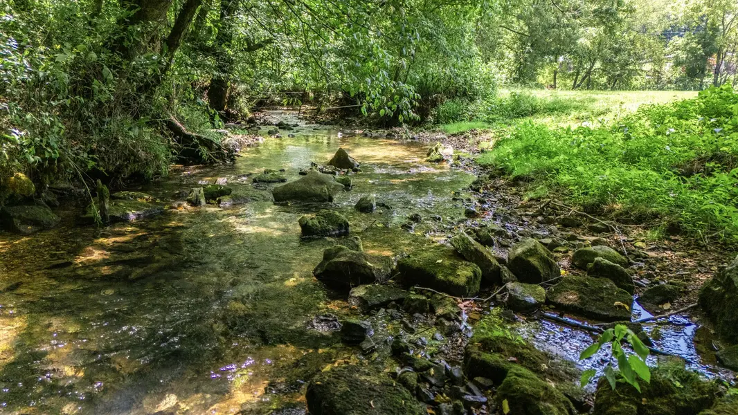 2203 Stones River Rd, Woodbury, TN 37190