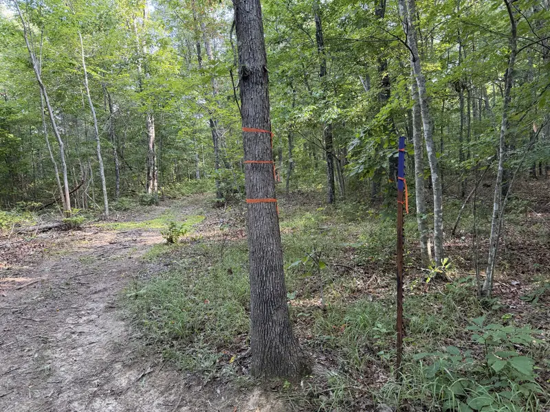 2603 Northcutts Cove Road, Beersheba Springs, TN 37305