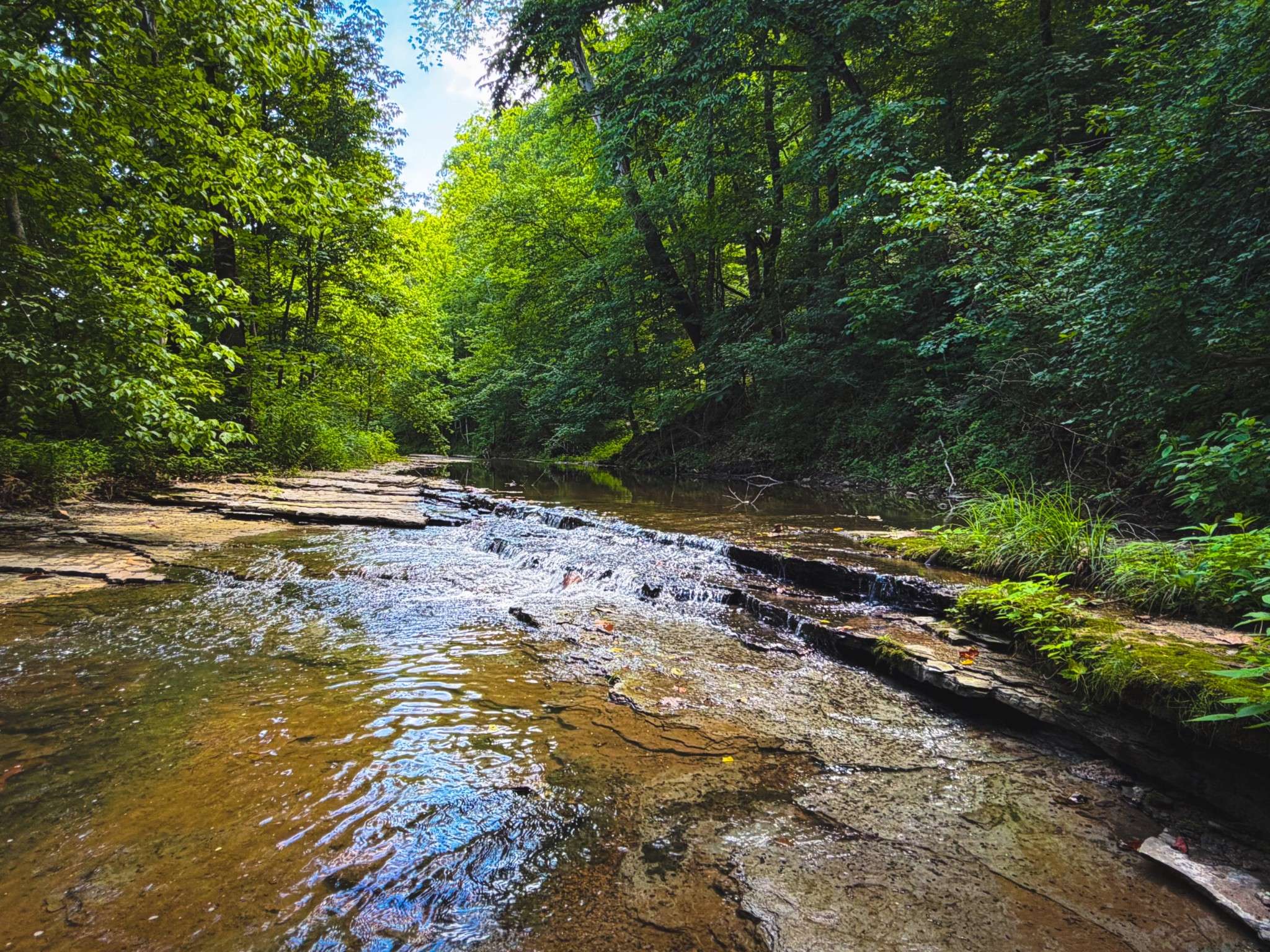 5 N Lick Creek Rd, Franklin, TN 37064