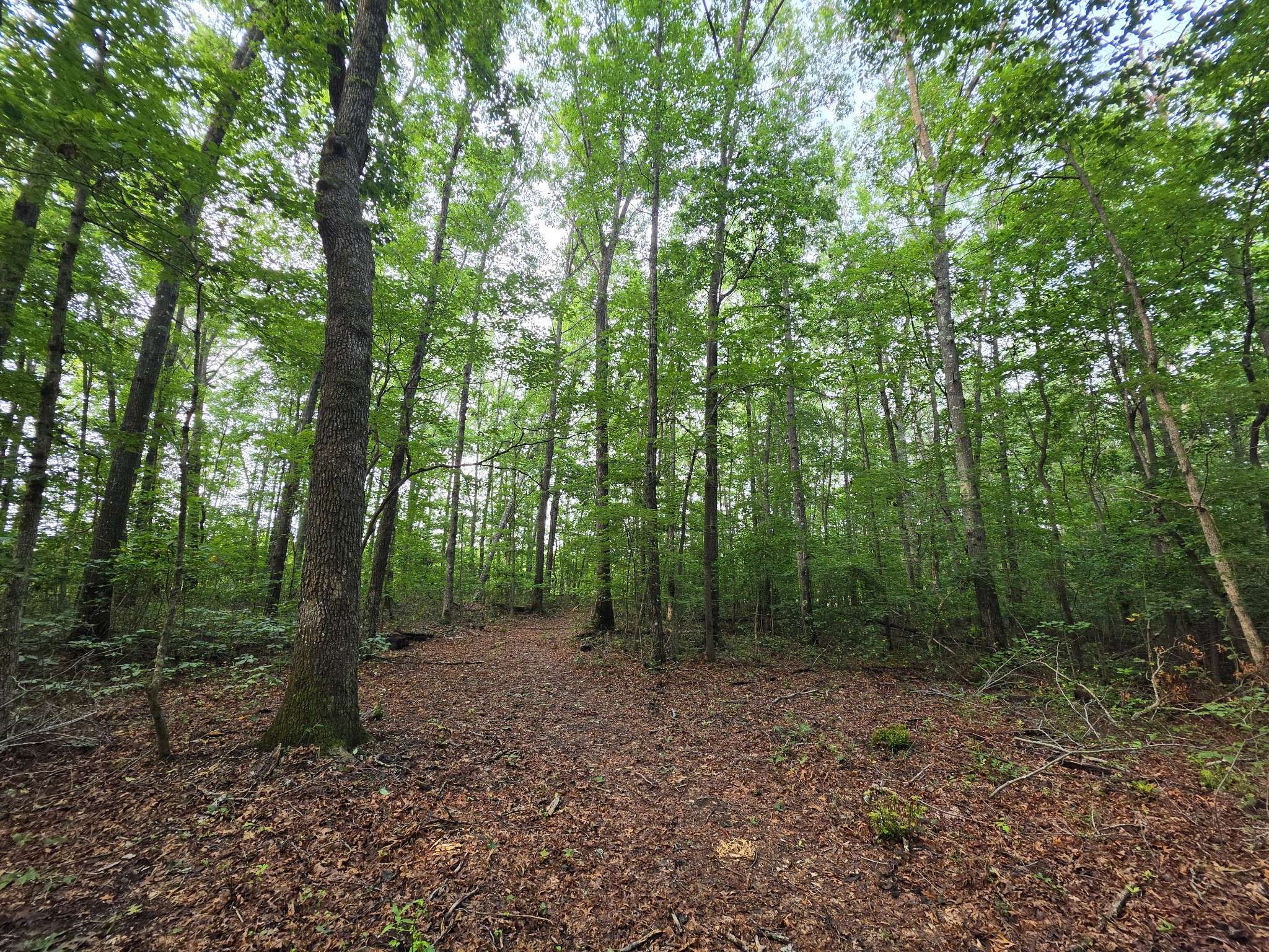 1 Adams Road, Tracy City, TN 37387