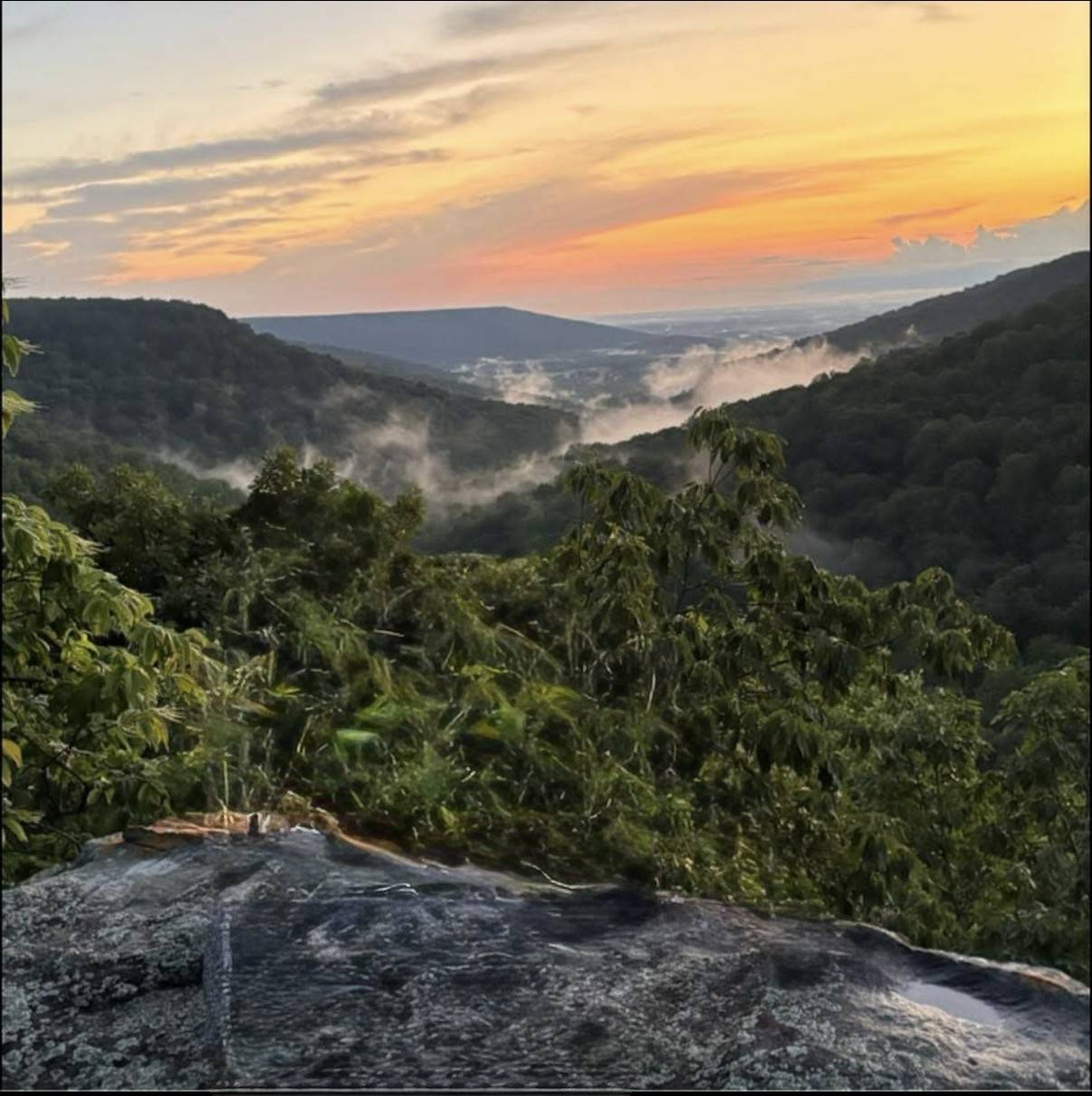354 Little Trees Ramble, Monteagle, TN 37356