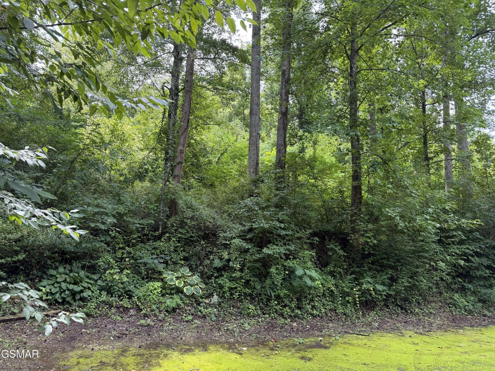 315 Hilltop Road, Gatlinburg, TN 37738