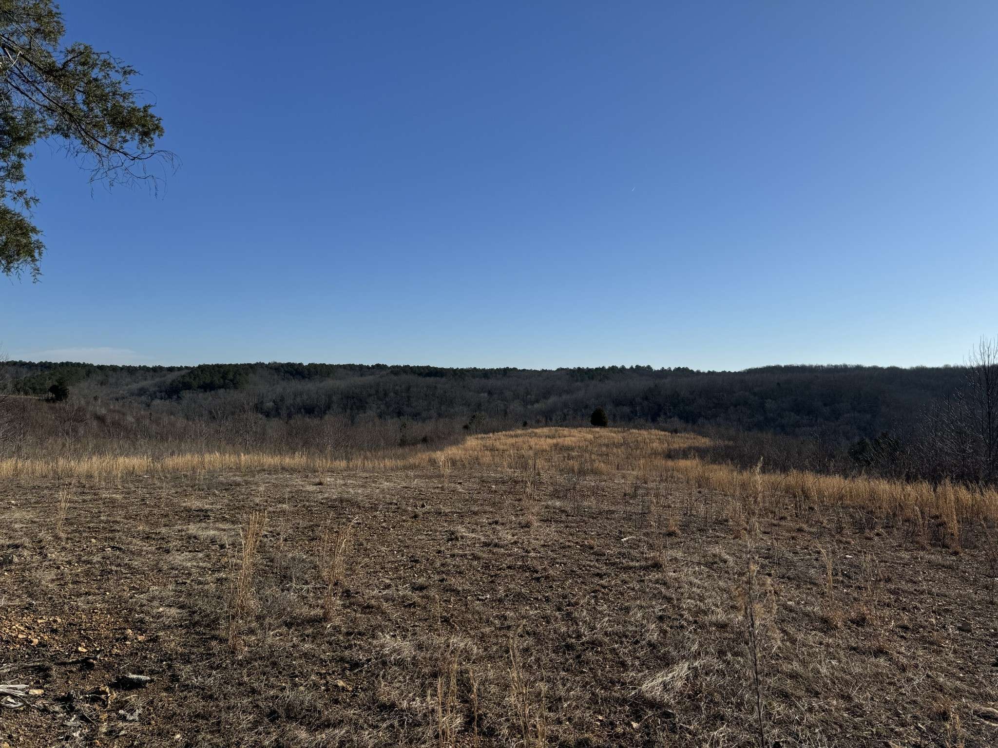 365 Twin Pines Overlook, Lobelville, TN 37097