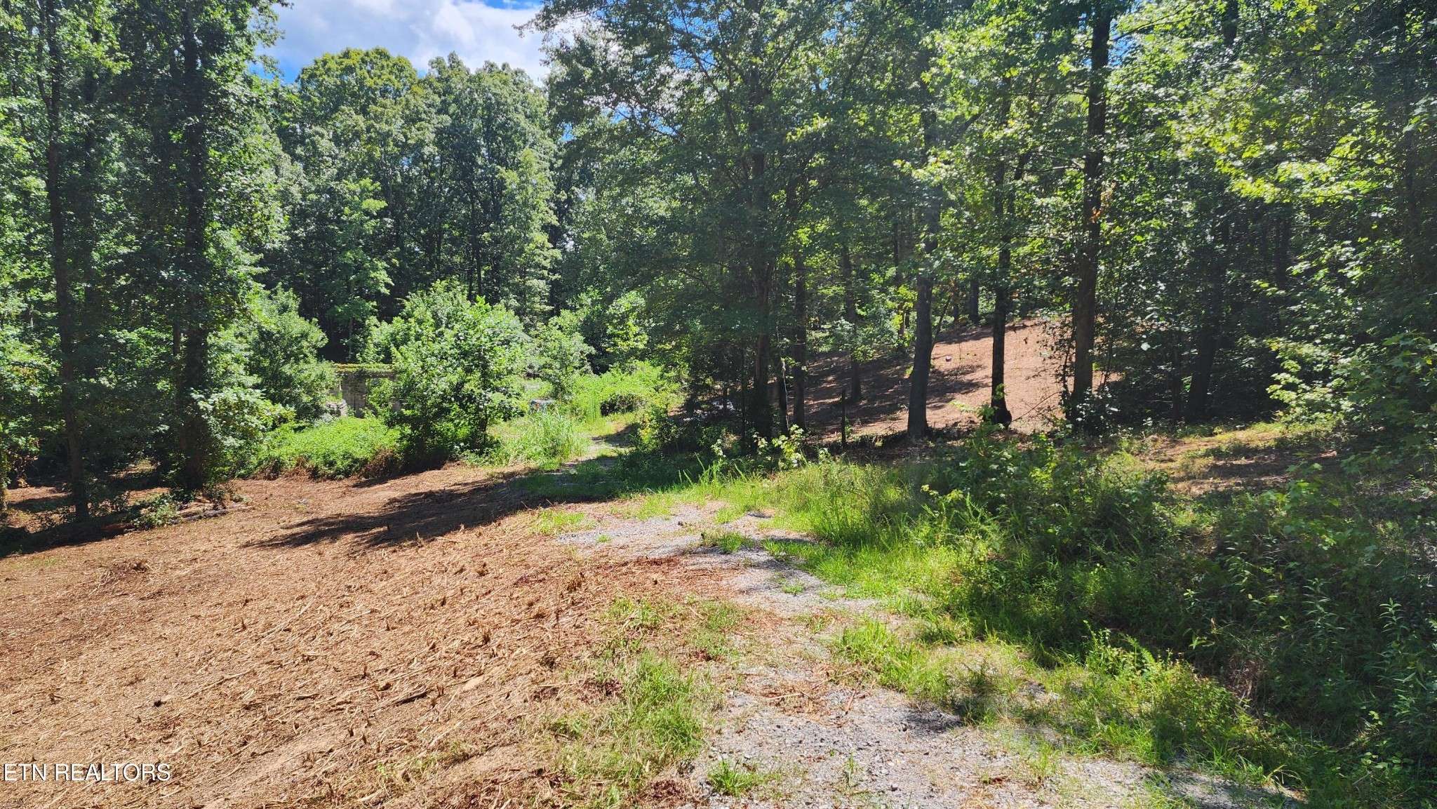 375 Goins Hill Road, Ten Mile, TN 37880