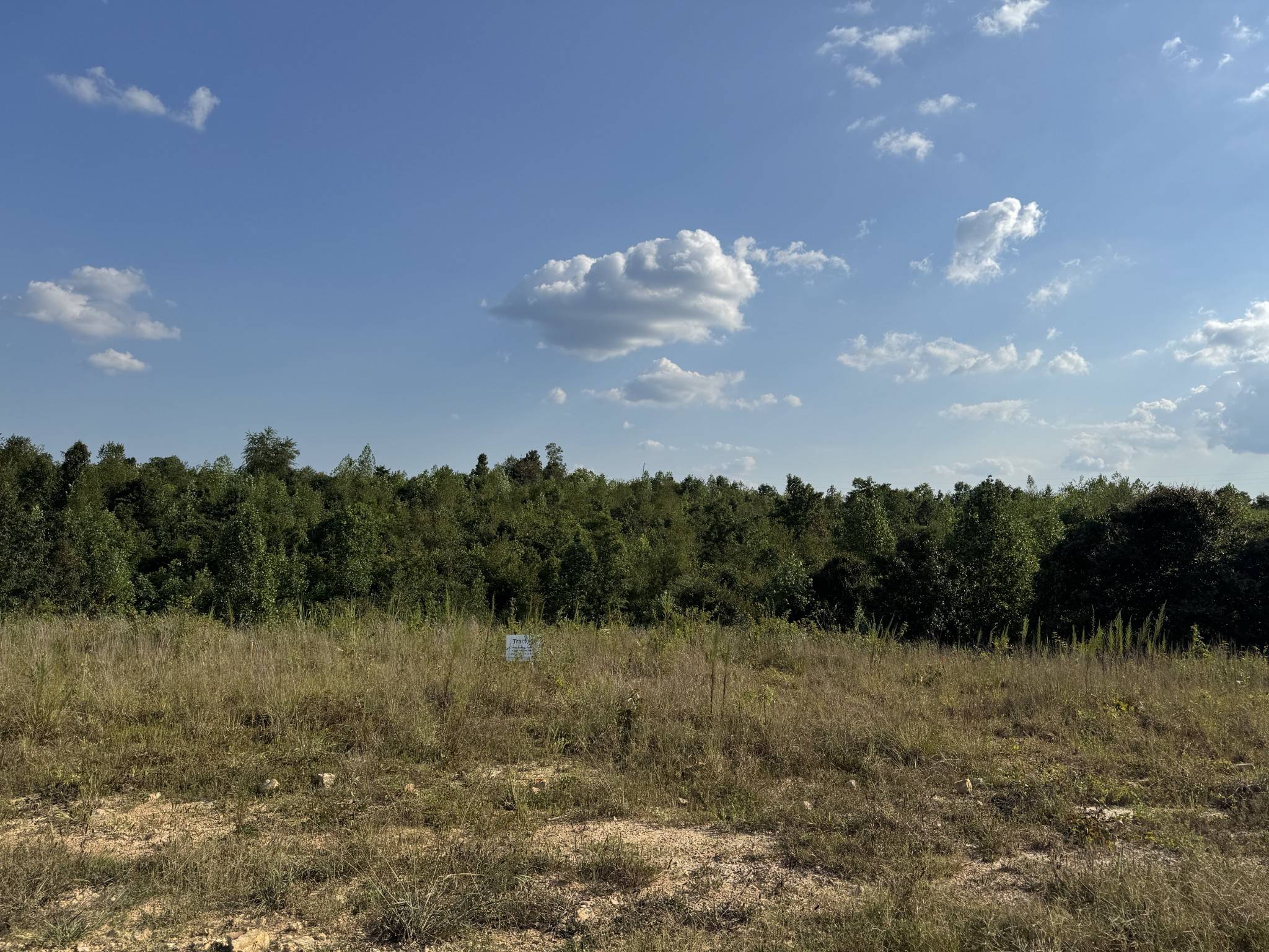 169 Twin Pines Rd, Lobelville, TN 37097